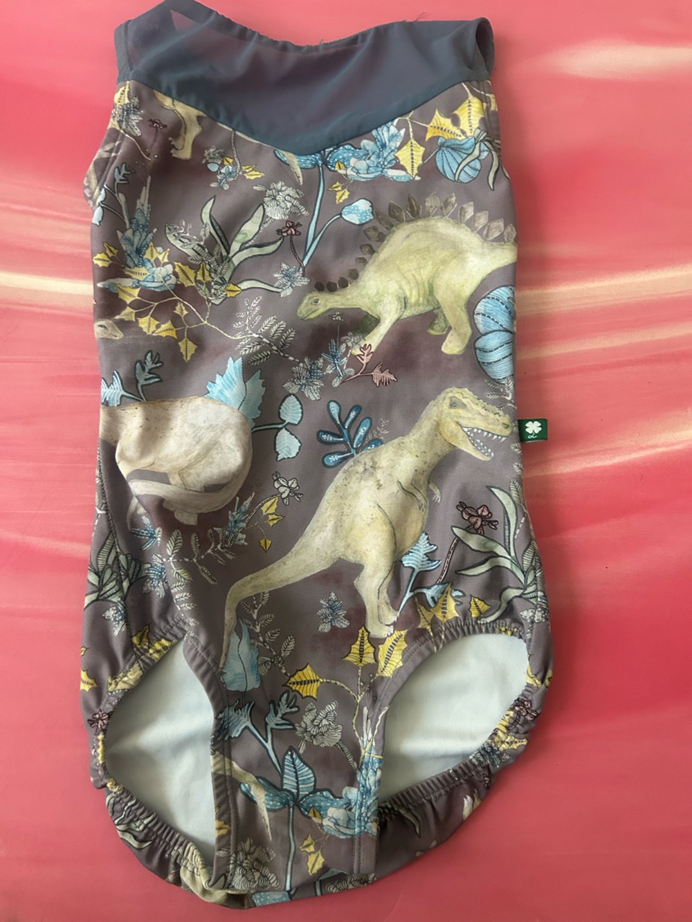 yumiko purple dinosaur leotard